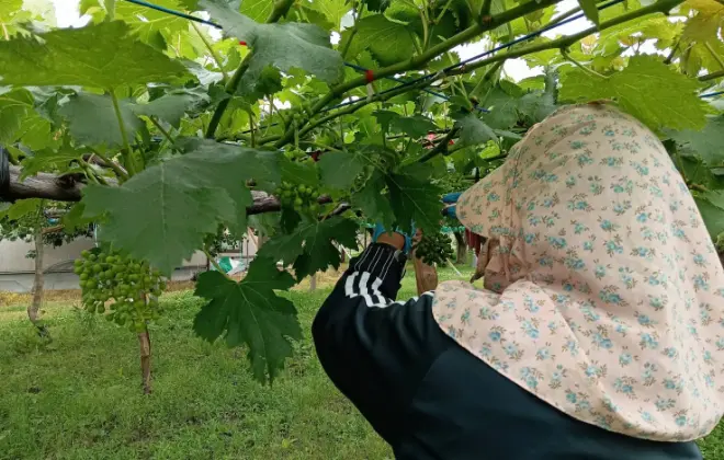 「やってみたい！」「できた！」を大切にしています